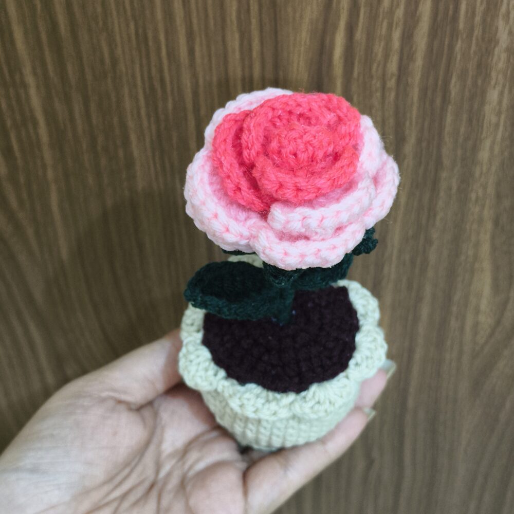Crochet Collection dual colour rose pot