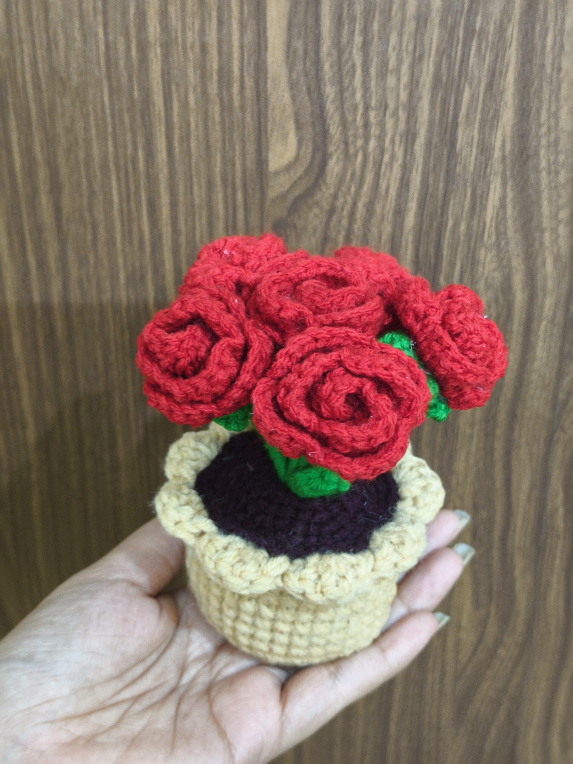 rose flower pot rose flower pot