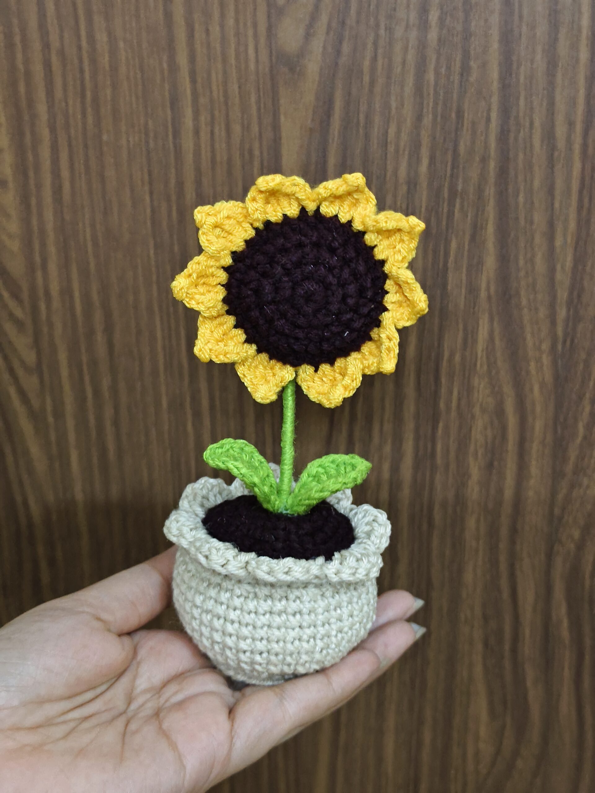 sunflower pot sunflower pot