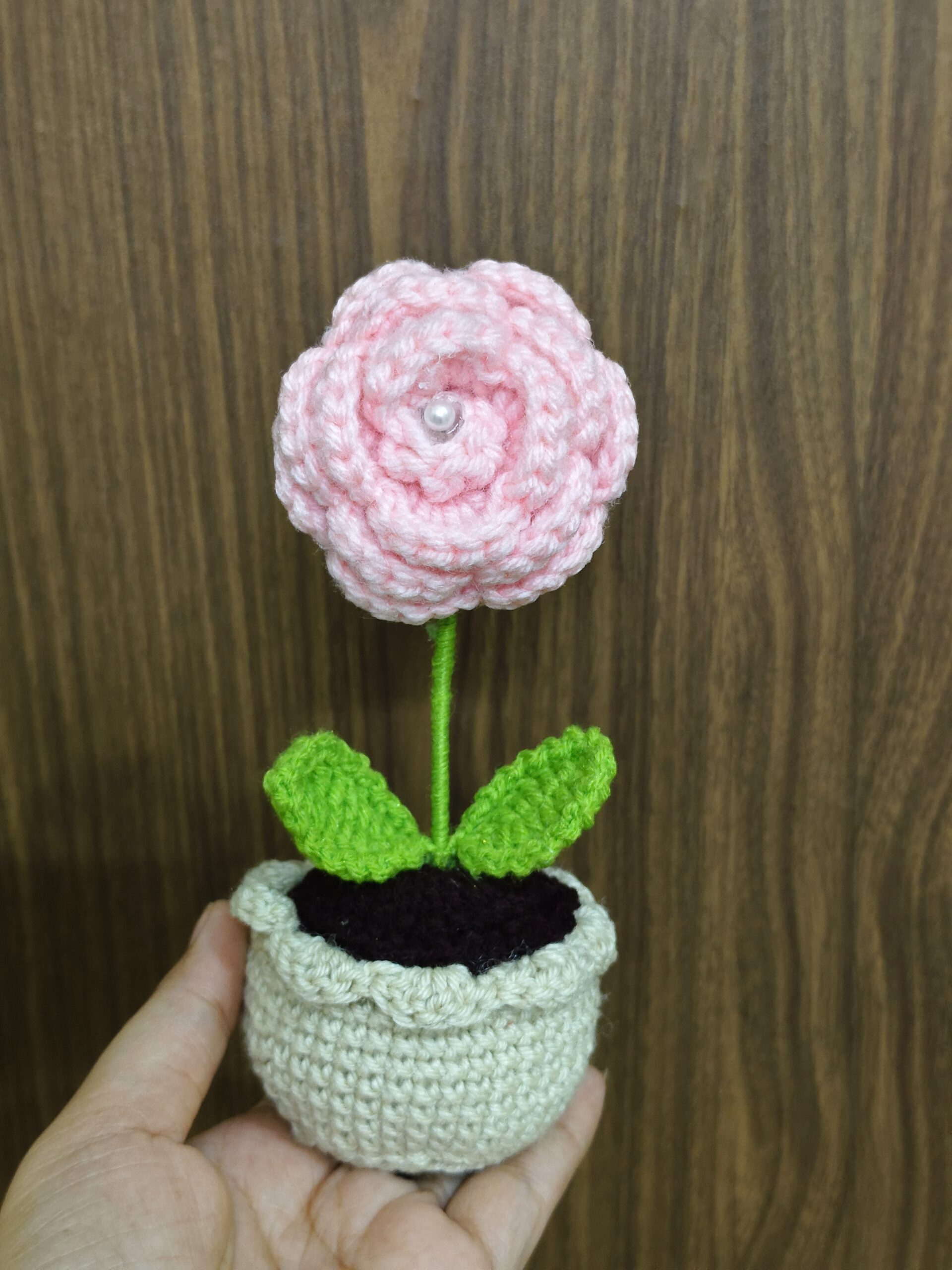 pink rose flower pot pink rose flower pot
