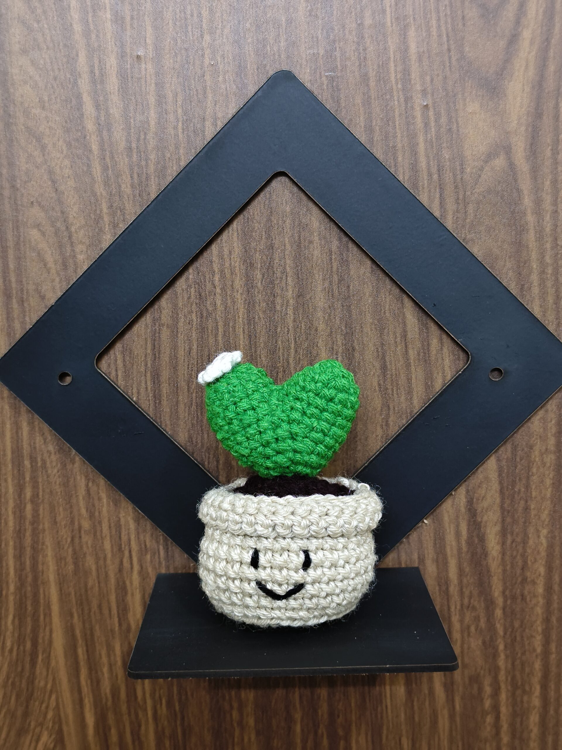 heart cactus pot heart cactus pot
