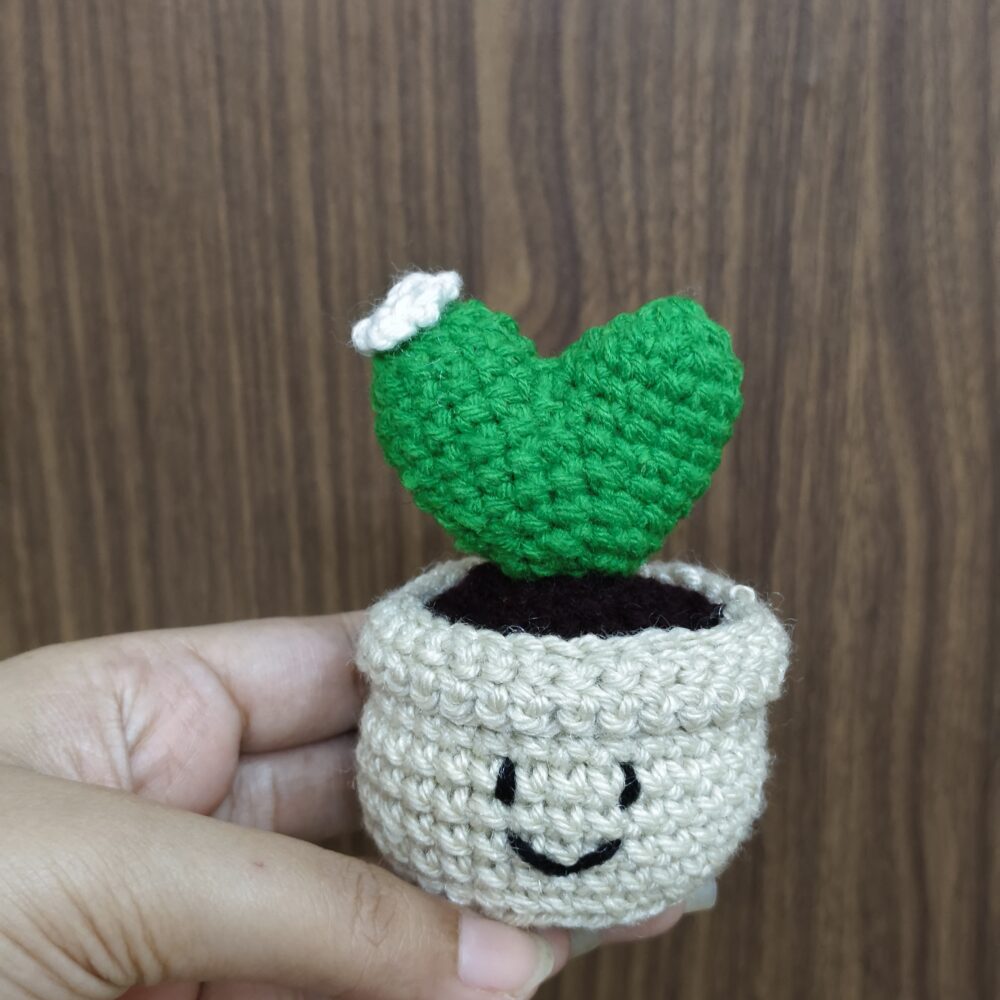 Crochet Collection heart cactus pot