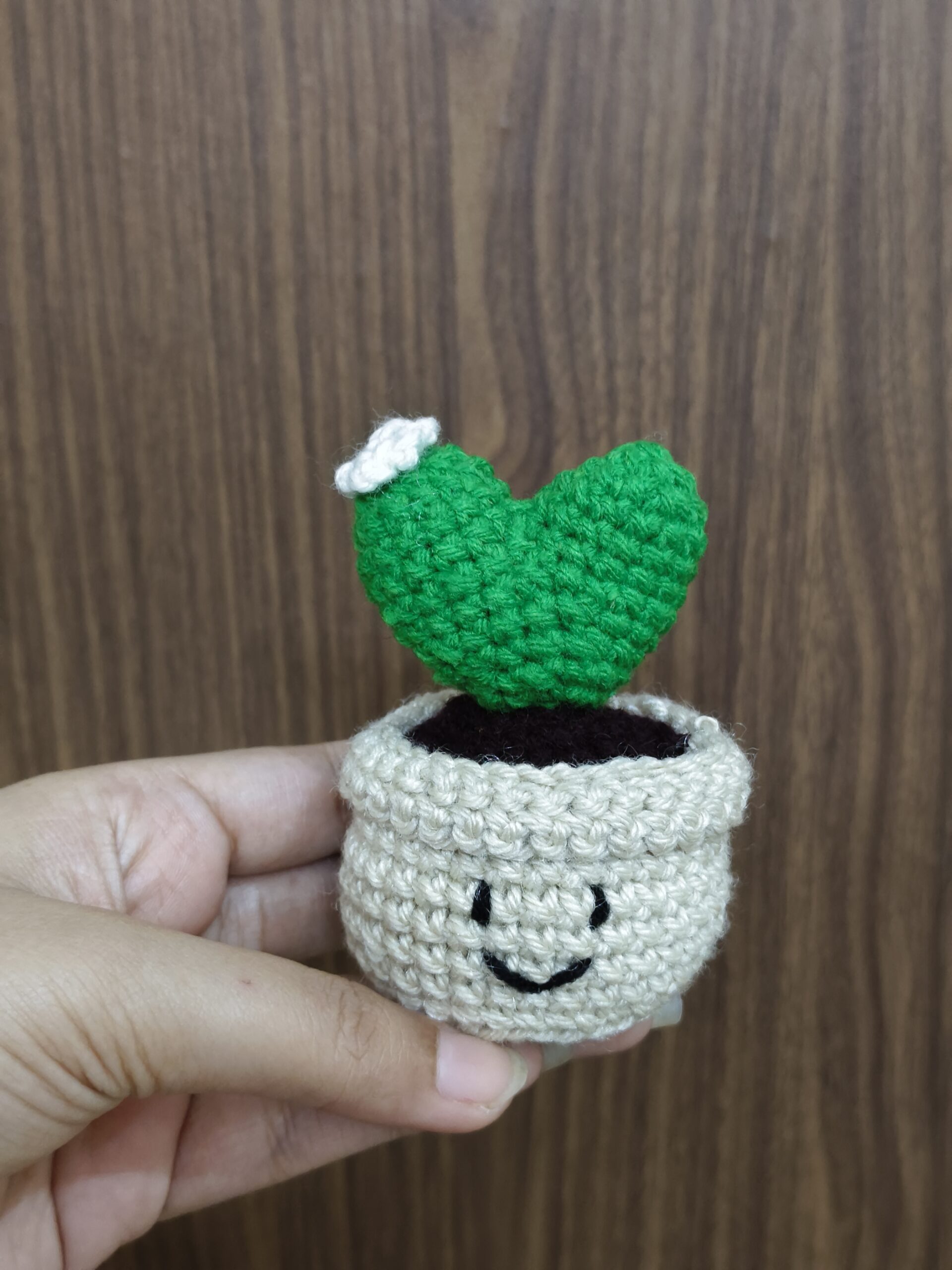 heart cactus pot heart cactus pot