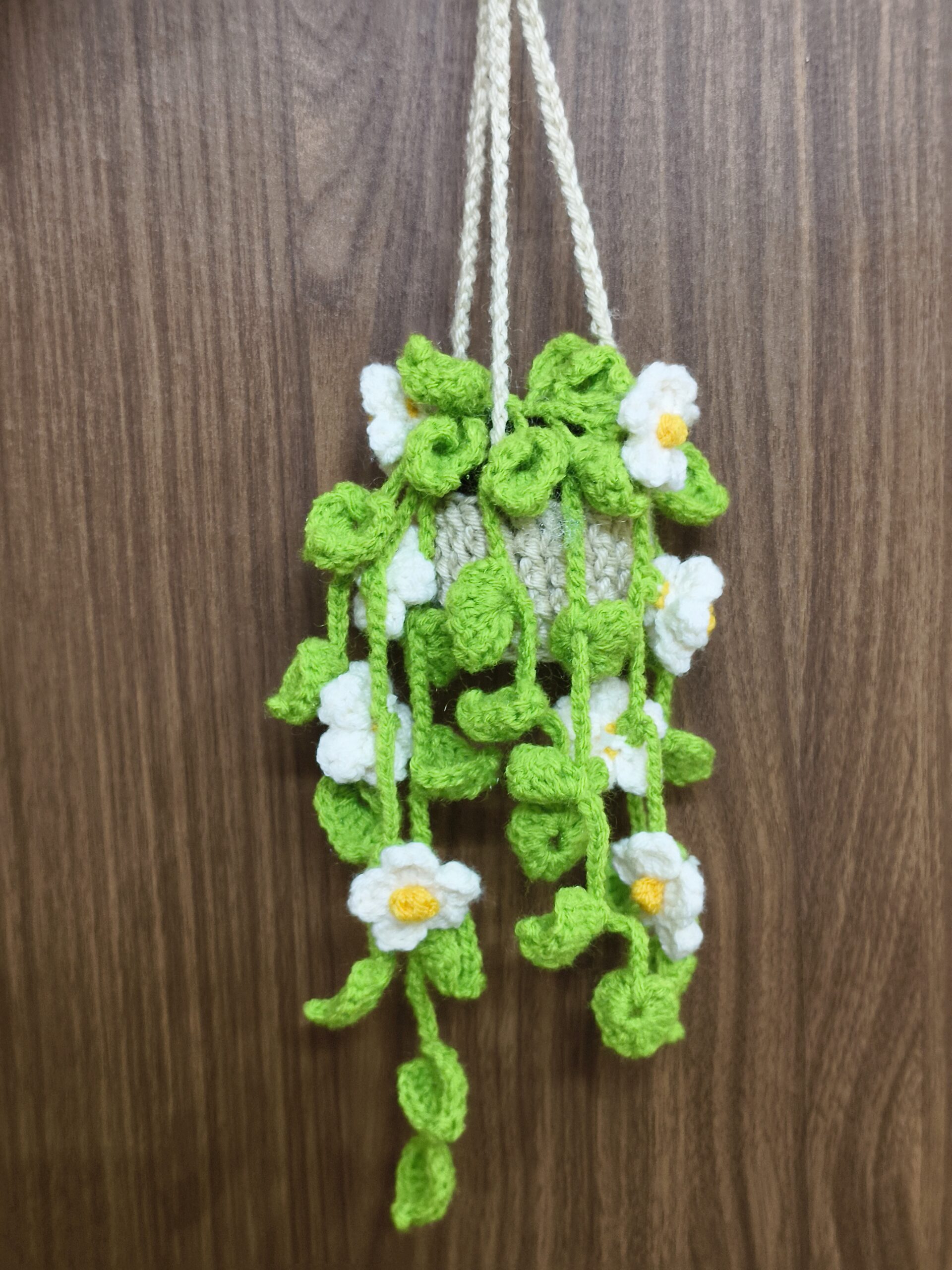 Crochet Hanging planter