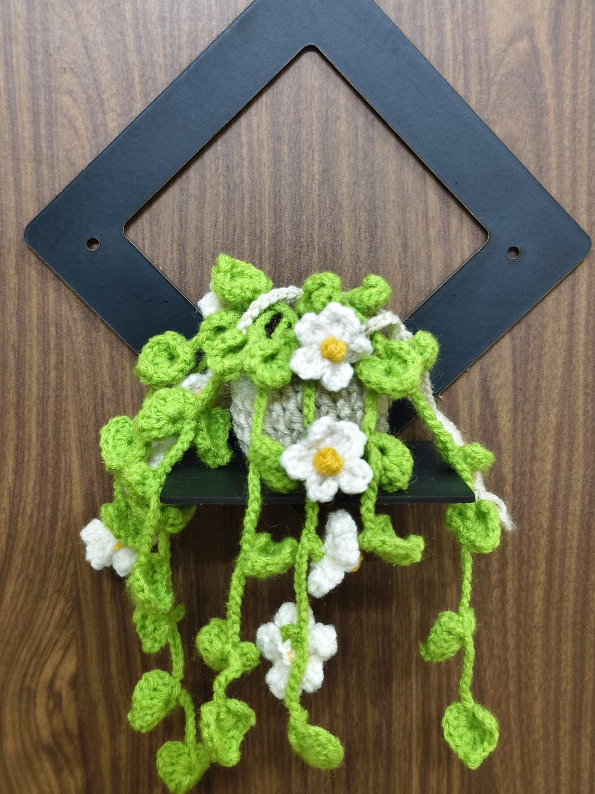 Crochet Hanging planter - Image 3